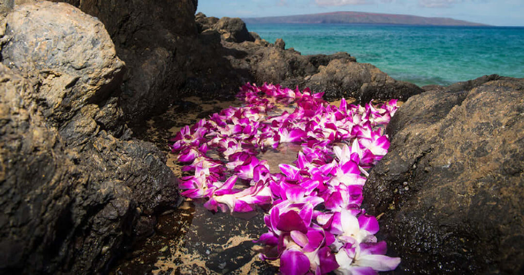 Celebrating Hawaiian Culture: Lei Day and the Beauty of the Hawaiian Lei - Shaka Time Hawaii