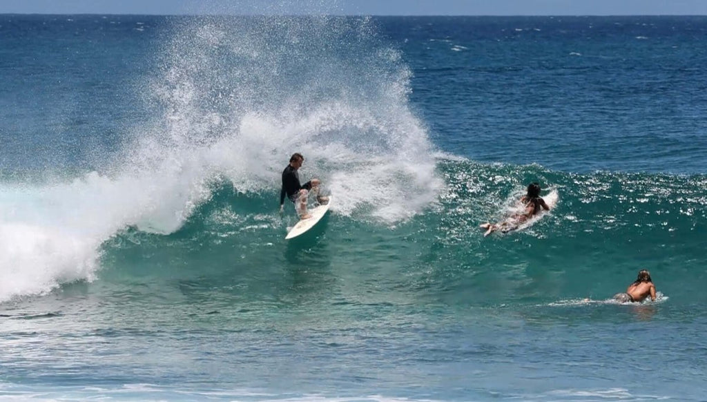 Epic Waves and Big Swells: A Recap of the Last Week on the North Shore of Oahu - Shaka Time Hawaii