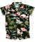 Toddler Boy Cabana Set Tropical Flamingos Black