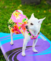 Dog Hawaiian Sundress Fashion Plumeria