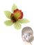 Green Orchids Flower Hawaii Hair Clip Green