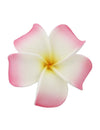 Large Hawaiian Plumeria White Pink Flower Hair Clip