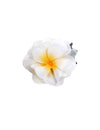 Plumeria Flowers Silk Hair Clip White