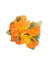 Three Silk Orange Hibiscus Flower Cluster Hair Clip Orange