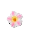 Small Hibiscus White Pink Flower Hair Clip Pink