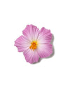 Small Hibiscus White Purple Flower Hair Clip Purple